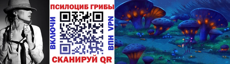 магазин    Новозыбков  Псилоцибиновые грибы Cubensis 