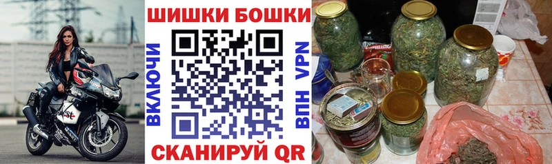 купить наркотик Новозыбков ссылка на мегу вход Бошки Шишки гибрид